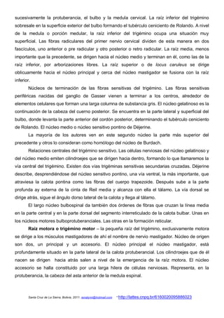 sucesivamente la protuberancia, el bulbo y la medula cervical. La raíz inferior del trigémino
sobresale en la superficie exterior del bulbo formando el tubérculo ceniciento de Rolando. A nivel
de la medula o porción medular, la raíz inferior del trigémino ocupa una situación muy
superficial. Las fibras radiculares del primer nervio cervical dividen de esta manera en dos
fascículos, uno anterior o pre radicular y otro posterior o retro radicular. La raíz media, menos
importante que la precedente, se dirigen hacia el núcleo medio y terminan en él, como las de la
raíz inferior, por arborizaciones libres. La raíz superior o de locus caruleus se dirige
oblicuamente hacia el núcleo principal y cerca del núcleo mastigador se fusiona con la raíz
inferior.
       Núcleos de terminación de las fibras sensitivas del trigémino. Las fibras sensitivas
periféricas nacidas del ganglio de Gasser vienen a terminar a los centros, alrededor de
elementos celulares que forman una larga columna de substancia gris. El núcleo gelatinoso es la
continuación de la cabeza del cuerno posterior. Se encuentra en la parte lateral y superficial del
bulbo, donde levanta la parte anterior del cordón posterior, determinando el tubérculo ceniciento
de Rolando. El núcleo medio o núcleo sensitivo pontino de Déjerine.
       La mayoría de los autores ven en este segundo núcleo la parte más superior del
precedente y otros lo consideran como homólogo del núcleo de Burdach.
       Relaciones centrales del trigémino sensitivo. Las células nerviosas del núcleo gelatinoso y
del núcleo medio emiten cilindroejes que se dirigen hacia dentro, formando lo que llamaremos la
vía central del trigémino. Existen dos vías trigéminas sensitivas secundarias cruzadas. Déjerine
describe, desprendiéndose del núcleo sensitivo pontino, una vía ventral, la más importante, que
atraviesa la calota pontina como las fibras del cuerpo trapezoide. Después sube a la parte
profunda ay externa de la cinta de Reil media y alcanza con ella el tálamo. La vía dorsal se
dirige atrás, sigue el ángulo dorso lateral de la calota y llega al tálamo.
       El largo núcleo bulbospinal da también dos órdenes de fibras que cruzan la línea media
en la parte central y en la parte dorsal del segmento interreticulado de la calota bulbar. Unas en
los núcleos motores bulboprotuberanciales. Las otras en la formación reticular.
       Raíz motora o trigémino motor – la pequeña raíz del trigémino, exclusivamente motora
se dirige a los músculos mastigadores de ahí el nombre de nervio mastigador. Núcleo de origen
son dos, un principal y un accesorio. El núcleo principal el núcleo mastigador, está
profundamente situado en la parte lateral de la calota protuberancial. Los cilindroejes que de él
nacen se dirigen         hacia atrás salen a nivel de la emergencia de la raíz motora. El núcleo
accesorio se halla constituido por una larga hilera de células nerviosas. Representa, en la
protuberancia, la cabeza del asta anterior de la medula espinal.



       Santa Cruz de La Sierra, Bolivia, 2011. renatynn@hotmail.com   * http://lattes.cnpq.br/6160020095886023
 