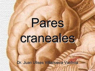 Pares
 craneales
Dr. Juan Ulises Villanueva Valdivia
 