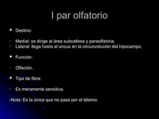 I par olfatorio
I par olfatorio
 Destino:
Destino:
- Medial: se dirige al área subcallosa y paraolfatoria.
Medial: se dirige al área subcallosa y paraolfatoria.
- Lateral: llega hasta el uncus en la circunvolución del hipocampo.
Lateral: llega hasta el uncus en la circunvolución del hipocampo.
 Función:
Función:
- Olfación.
Olfación.
 Tipo de fibra:
Tipo de fibra:
- Es meramente sensitiva.
Es meramente sensitiva.
-Nota: Es la única que no pasa por el tálamo.
-Nota: Es la única que no pasa por el tálamo.
 