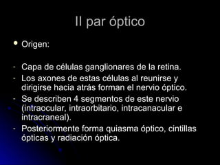 II par óptico
II par óptico
 Origen:
Origen:
- Capa de células ganglionares de la retina.
Capa de células ganglionares de la retina.
- Los axones de estas células al reunirse y
Los axones de estas células al reunirse y
dirigirse hacia atrás forman el nervio óptico.
dirigirse hacia atrás forman el nervio óptico.
- Se describen 4 segmentos de este nervio
Se describen 4 segmentos de este nervio
(intraocular, intraorbitario, intracanacular e
(intraocular, intraorbitario, intracanacular e
intracraneal).
intracraneal).
- Posteriormente forma quiasma óptico, cintillas
Posteriormente forma quiasma óptico, cintillas
ópticas y radiación óptica.
ópticas y radiación óptica.
 
