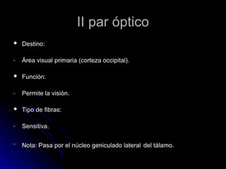 II par óptico
II par óptico
 Destino:
Destino:
- Área visual primaria (corteza occipital).
Área visual primaria (corteza occipital).
 Función:
Función:
- Permite la visión.
Permite la visión.
 Tipo de fibras:
Tipo de fibras:
- Sensitiva.
Sensitiva.
- Nota: Pasa por el núcleo geniculado lateral
Nota: Pasa por el núcleo geniculado lateral del tálamo.
del tálamo.
 