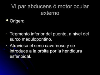 VI par abducens ó motor ocular
VI par abducens ó motor ocular
externo
externo
 Origen:
Origen:
- Tegmento inferior del puente, a nivel del
Tegmento inferior del puente, a nivel del
surco medulopontino.
surco medulopontino.
- Atraviesa el seno cavernoso y se
Atraviesa el seno cavernoso y se
introduce a la orbita por la hendidura
introduce a la orbita por la hendidura
esfenoidal.
esfenoidal.
 