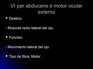VI par abducens ó motor ocular
VI par abducens ó motor ocular
externo
externo
 Destino:
Destino:
- Músculo recto lateral del ojo.
- Músculo recto lateral del ojo.
 Función:
Función:
- Movimiento lateral del ojo.
- Movimiento lateral del ojo.
 Tipo de fibra: Motor
Tipo de fibra: Motor
 