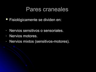 Pares craneales
Pares craneales
 Fisiológicamente se dividen en:
Fisiológicamente se dividen en:
- Nervios sensitivos o sensoriales.
Nervios sensitivos o sensoriales.
- Nervios motores.
Nervios motores.
- Nervios mixtos (sensitivos-motores).
Nervios mixtos (sensitivos-motores).
 