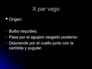 X par vago
X par vago
 Origen:
Origen:
- Bulbo raquídeo.
Bulbo raquídeo.
- Pasa por el agujero rasgado posterior.
Pasa por el agujero rasgado posterior.
- Desciende por el cuello junto con la
Desciende por el cuello junto con la
carótida y yugular.
carótida y yugular.
 