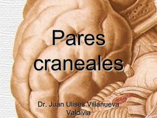 Pares
craneales
Dr. Juan Ulises Villanueva
         Valdivia
 