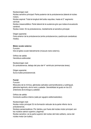 Núcleo/origen real:
Núcleo sensitivo principal: Parte posterior de la protuberancia (lateral al núcleo
motor).
Núcleo espinal: Toda la longitud del bulbo raquídeo, hasta el 2° segmento
cervical.
Núcleo mesencefálico: Parte lateral de la sustancia gris que rodea el acueducto
cerebral.
Núcleo motor: En la protuberancia, medialmente al sensitivo principal.
Origen aparente:
Cara anterior de la protuberancia (entre protuberancia y pedúnculo cerebeloso
medio).
Motor ocular externo:
Función:
Gira el globo ocular lateralmente (músculo recto externo).
Orificio de salida:
Hendidura esfenoidal.
Núcleo/origen real:
En protuberancia, debajo del piso del 4° ventrículo (eminencias teres).
Origen aparente:
Surco bulbo-protuberancial.
Facial:
Función:
Músculos de la mímica, glándulas salivales submandibulares y sublingual,
glándula lagrimal y de la nariz y paladar. Sensibilidad al gusto en los 2/3
anteriores de la lengua y paladar.
Orificio de salida:
Conducto auditivo interno (sale por agujero estilomastoideo).
Núcleo/origen real:
Núcleo motor principal: En la formación reticular de la parte inferior de la
protuberancia.
Núcleos parasimpáticos: Por detrás y por fuera del núcleo motor principal; son
los núcleos salivar superior y lagrimal.
Núcleo sensitivo: es la parte superior del núcleo del trato solitario, cerca del
núcleo motor (en bulbo).
 