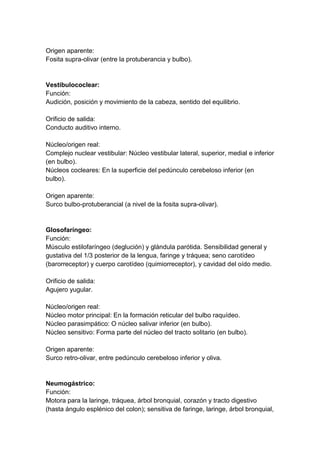 Origen aparente:
Fosita supra-olivar (entre la protuberancia y bulbo).
Vestibulococlear:
Función:
Audición, posición y movimiento de la cabeza, sentido del equilibrio.
Orificio de salida:
Conducto auditivo interno.
Núcleo/origen real:
Complejo nuclear vestibular: Núcleo vestibular lateral, superior, medial e inferior
(en bulbo).
Núcleos cocleares: En la superficie del pedúnculo cerebeloso inferior (en
bulbo).
Origen aparente:
Surco bulbo-protuberancial (a nivel de la fosita supra-olivar).
Glosofaríngeo:
Función:
Músculo estilofaríngeo (deglución) y glándula parótida. Sensibilidad general y
gustativa del 1/3 posterior de la lengua, faringe y tráquea; seno carotídeo
(barorreceptor) y cuerpo carotídeo (quimiorreceptor), y cavidad del oído medio.
Orificio de salida:
Agujero yugular.
Núcleo/origen real:
Núcleo motor principal: En la formación reticular del bulbo raquídeo.
Núcleo parasimpático: O núcleo salivar inferior (en bulbo).
Núcleo sensitivo: Forma parte del núcleo del tracto solitario (en bulbo).
Origen aparente:
Surco retro-olivar, entre pedúnculo cerebeloso inferior y oliva.
Neumogástrico:
Función:
Motora para la laringe, tráquea, árbol bronquial, corazón y tracto digestivo
(hasta ángulo esplénico del colon); sensitiva de faringe, laringe, árbol bronquial,
 