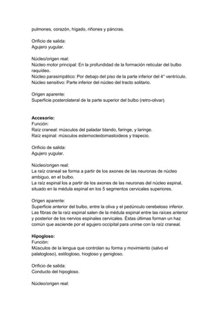 pulmones, corazón, hígado, riñones y páncras.
Orificio de salida:
Agujero yugular.
Núcleo/origen real:
Núcleo motor principal: En la profundidad de la formación reticular del bulbo
raquídeo.
Núcleo parasimpático: Por debajo del piso de la parte inferior del 4° ventrículo.
Núcleo sensitivo: Parte inferior del núcleo del tracto solitario.
Origen aparente:
Superficie posterolateral de la parte superior del bulbo (retro-olivar).
Accesorio:
Función:
Raíz craneal: músculos del paladar blando, faringe, y laringe.
Raíz espinal: músculos esternocleidomastoideos y trapecio.
Orificio de salida:
Agujero yugular.
Núcleo/origen real:
La raíz craneal se forma a partir de los axones de las neuronas de núcleo
ambiguo, en el bulbo.
La raíz espinal los a partir de los axones de las neuronas del núcleo espinal,
situado en la médula espinal en los 5 segmentos cervicales superiores.
Origen aparente:
Superficie anterior del bulbo, entre la oliva y el pedúnculo cerebeloso inferior.
Las fibras de la raíz espinal salen de la médula espinal entre las raíces anterior
y posterior de los nervios espinales cervicales. Éstas últimas forman un haz
común que asciende por el agujero occipital para unirse con la raíz craneal.
Hipogloso:
Función:
Músculos de la lengua que controlan su forma y movimiento (salvo el
palatogloso), estilogloso, hiogloso y genigloso.
Orificio de salida:
Conducto del hipogloso.
Núcleo/origen real:
 