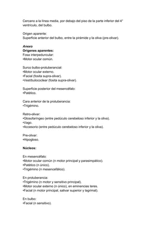 Cercano a la línea media, por debajo del piso de la parte inferior del 4°
ventrículo, del bulbo.
Origen aparente:
Superficie anterior del bulbo, entre la pirámide y la oliva (pre-olivar).
Anexo
Orígenes aparentes:
Fosa interpeduncular:
•Motor ocular común.
Surco bulbo-protuberancial:
•Motor ocular externo.
•Facial (fosita supra-olivar).
•Vestíbulococlear (fosita supra-olivar).
Superficie posterior del mesencéfalo:
•Patético.
Cara anterior de la protuberancia:
•Trigémino.
Retro-olivar:
•Glosofaríngeo (entre pedúculo cerebeloso inferior y la oliva).
•Vago.
•Accesorio (entre pedúculo cerebeloso inferior y la oliva).
Pre-olivar:
•Hipogloso.
Núcleos:
En mesencéfalo:
•Motor ocular común (n motor principal y parasimpático).
•Patético (n único).
•Trigémino (n mesencefálico).
En protuberancia:
•Trigémino (n motor y sensitivo principal).
•Motor ocular externo (n único), en eminencias teres.
•Facial (n motor principal, salivar superior y lagrimal).
En bulbo:
•Facial (n sensitivo).
 