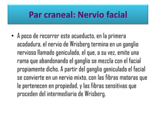 Par craneal: Nervio facial
• A poco de recorrer este acueducto, en la primera
acodadura, el nervio de Wrisberg termina en un ganglio
nervioso llamado geniculado, el que, a su vez, emite una
rama que abandonando el ganglio se mezcla con el facial
propiamente dicho. A partir del ganglio geniculado el facial
se convierte en un nervio mixto, con las fibras motoras que
le pertenecen en propiedad, y las fibras sensitivas que
proceden del intermediario de Wrisberg.

 