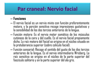 Par craneal: Nervio facial
– Funciones
– El nervio facial es un nervio mixto con función preferentemente
motora, y la porción sensitiva recoge impresiones gustativas y
la sensibilidad de los dos tercios anteriores de la lengua.
– Función motora: Es el nervio motor somático de los músculos
cutáneos de la cara y del cuello. Es el nervio facial propiamente
dicho. La raíz motora del facial se origina en el núcleo situado en
la protuberancia superior (sobre coliculo facial).
– Función sensorial: Recoge el sentido del gusto de los dos tercios
anteriores de la lengua. Es el nervio intermediario Wrisberg. La
raíz sensitiva se origina en el núcleo de la parte superior del
fascículo solitario y en la parte superior del ala gris.

 
