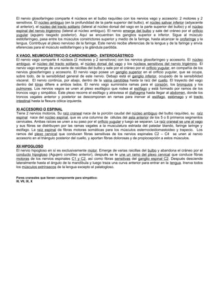 El nervio glosofaríngeo comparte 4 núcleos en el bulbo raquídeo con los nervios vago y accesorio: 2 motores y 2
sensitivos. El núcleo ambiguo (en la profundidad de la parte superior del bulbo), el núcleo salivar inferior (adyacente
al anterior), el núcleo del tracto solitario (lateral al núcleo dorsal del vago en la parte superior del bulbo) y el núcleo
espinal del nervio trigémino (lateral al núcleo ambiguo). El nervio emerge del bulbo y sale del cráneo por el orificio
yugular (agujero rasgado posterior). Aquí se encuentran los ganglios superior e inferior. Sigue al músculo
estilofaríngeo, pasa entre los músculos constrictores superior y medio de la faringe, hasta alcanzar la orofaringe y la
lengua. Contribuye al plexo nervioso de la faringe. Este nervio recibe aferencias de la lengua y de la faringe y envía
eferencias para el músculo estilofaríngeo y la glándula parótida.
X VAGO, NEUMOGÁSTRICO O CARDIONEUMO- ENTEROGÁSTRICO
El nervio vago comparte 4 núcleos (2 motores y 2 sensitivos) con los nervios glosofaríngeo y accesorio. El núcleo
ambiguo, el núcleo del tracto solitario, el núcleo dorsal del vago y los núcleos sensitivos del nervio trigémino. El
nervio vago emerge de una serie de raicillas del bulbo y sale por el cráneo por el orificio yugular, en compañía de los
nervios glosofaríngeo y accesorio. El nervio vago posee un ganglio superior en el orificio yugular, que se ocupa,
sobre todo, de la sensibilidad general de este nervio. Debajo está el ganglio inferior, ocupado de la sensibilidad
visceral. El nervio continúa, por abajo, dentro de la vaina carotídea hasta la raíz del cuello. El trayecto del vago
dentro del tórax difiere a ambos lados. El nervio vago suministra ramas para el corazón, los bronquios y los
pulmones. Los nervios vagos se unen al plexo esofágico que rodea al esófago y está formado por ramos de los
troncos vago y simpático. Este plexo recorre el esófago y atraviesa el diafragma hasta llegar al abdomen, donde los
troncos vagales anterior y posterior se descomponen en ramas para inervar al esófago, estómago y el tracto
intestinal hasta la flexura cólica izquierda.
XI ACCESORIO O ESPINAL
Tiene 2 nervios motoros. Su raíz craneal nace de la porción caudal del núcleo ambiguo del bulbo raquídeo, su raíz
espinal nace del núcleo espinal, que es una columna de células del asta anterior de los 5 o 6 primeros segmentos
cervicales. Ambas raíces se unen a su paso por el orificio yugular y luego se separan. La raíz craneal se une al vago
y sus fibras se distribuyen por las ramas vagales a la musculatura estriada del paladar blando, faringe laringe y
esófago. La raíz espinal da fibras motoras somáticas para los músculos esternocleidomastoideo y trapecio. Los
ramos del plexo cervical que conducen fibras sensitivas de los nervios espinales C2 – C4 se unen al nervio
accesorio en el triángulo posterior del cuello, y aportan fibras dolorosas y de propiocepción a estos músculos.
XII HIPOGLOSO
El nervio hipogloso en sí es exclusivamente motor. Emerge de varias raicillas del bulbo y abandona el cráneo por el
conducto hipogloso (Agujero condíleo anterior), después se le une un ramo del plexo cervical que conduce fibras
motoras de los nervios espinales C1 y C2, así como fibras sensitivas del ganglio espinal C2. Después desciende
lateralmente hasta el ángulo de la mandíbula y luego traza una curva anterior para entrar en la lengua. Inerva todos
los músculos extrínsecos de la lengua excepto el palatogloso.
Pares craneales que tienen componente para simpático:
III, VII, IX, X
 