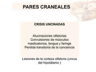 PARES CRANEALES
CRISIS UNCINADAS
Alucinaciones olfatorias
Convulsiones de músculos
masticatorios, lengua y faringe
Perdida transitoria de la conciencia
Lesiones de la corteza olfatoria (uncus
del hipotálamo )
 