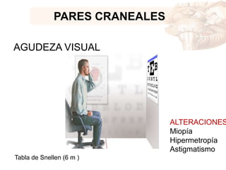 PARES CRANEALES
AGUDEZA VISUAL
Tabla de Snellen (6 m )
ALTERACIONES
Miopía
Hipermetropía
Astigmatismo
 