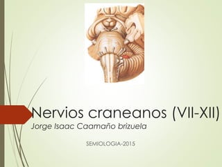 Nervios craneanos (VII-XII)
Jorge Isaac Caamaño brizuela
SEMIOLOGIA-2015
 