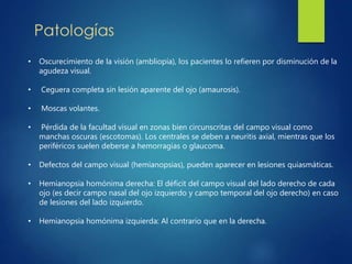 • Oscurecimiento de la visión (ambliopía), los pacientes lo refieren por disminución de la
agudeza visual.
• Ceguera completa sin lesión aparente del ojo (amaurosis).
• Moscas volantes.
• Pérdida de la facultad visual en zonas bien circunscritas del campo visual como
manchas oscuras (escotomas). Los centrales se deben a neuritis axial, mientras que los
periféricos suelen deberse a hemorragias o glaucoma.
• Defectos del campo visual (hemianopsias), pueden aparecer en lesiones quiasmáticas.
• Hemianopsia homónima derecha: El déficit del campo visual del lado derecho de cada
ojo (es decir campo nasal del ojo izquierdo y campo temporal del ojo derecho) en caso
de lesiones del lado izquierdo.
• Hemianopsia homónima izquierda: Al contrario que en la derecha.
 
