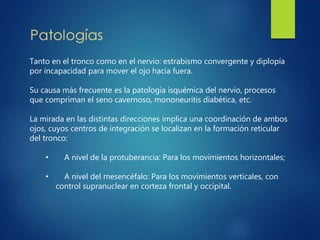 Tanto en el tronco como en el nervio: estrabismo convergente y diplopía
por incapacidad para mover el ojo hacia fuera.
Su causa más frecuente es la patología isquémica del nervio, procesos
que compriman el seno cavernoso, mononeuritis diabética, etc.
La mirada en las distintas direcciones implica una coordinación de ambos
ojos, cuyos centros de integración se localizan en la formación reticular
del tronco:
• A nivel de la protuberancia: Para los movimientos horizontales;
• A nivel del mesencéfalo: Para los movimientos verticales, con
control supranuclear en corteza frontal y occipital.
 