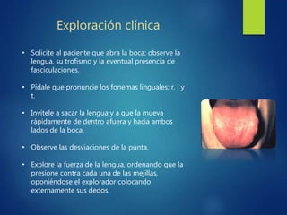 Exploración clínica
• Solicite al paciente que abra la boca; observe la
lengua, su trofismo y la eventual presencia de
fasciculaciones.
• Pídale que pronuncie los fonemas linguales: r, l y
t.
• Invítele a sacar la lengua y a que la mueva
rápidamente de dentro afuera y hacia ambos
lados de la boca.
• Observe las desviaciones de la punta.
• Explore la fuerza de la lengua, ordenando que la
presione contra cada una de las mejillas,
oponiéndose el explorador colocando
externamente sus dedos.
 
