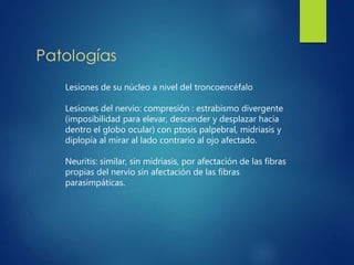 Lesiones de su núcleo a nivel del troncoencéfalo
Lesiones del nervio: compresión : estrabismo divergente
(imposibilidad para elevar, descender y desplazar hacia
dentro el globo ocular) con ptosis palpebral, midriasis y
diplopía al mirar al lado contrario al ojo afectado.
Neuritis: similar, sin midriasis, por afectación de las fibras
propias del nervio sin afectación de las fibras
parasimpáticas.
 