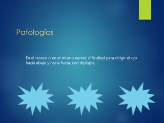 En el tronco o en el mismo nervio: dificultad para dirigir el ojo
hacia abajo y hacia fuera, con diplopía.
 