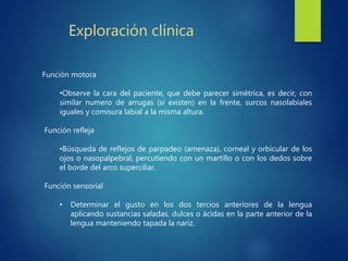 Exploración clínica
Función motora
•Observe la cara del paciente, que debe parecer simétrica, es decir, con
similar numero de arrugas (si existen) en la frente, surcos nasolabiales
iguales y comisura labial a la misma altura.
Función refleja
•Búsqueda de reflejos de parpadeo (amenaza), corneal y orbicular de los
ojos o nasopalpebral, percutiendo con un martillo o con los dedos sobre
el borde del arco superciliar.
Función sensorial
• Determinar el gusto en los dos tercios anteriores de la lengua
aplicando sustancias saladas, dulces o ácidas en la parte anterior de la
lengua manteniendo tapada la nariz.
 