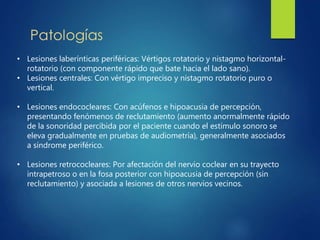 • Lesiones laberínticas periféricas: Vértigos rotatorio y nistagmo horizontal-
rotatorio (con componente rápido que bate hacia el lado sano).
• Lesiones centrales: Con vértigo impreciso y nistagmo rotatorio puro o
vertical.
• Lesiones endococleares: Con acúfenos e hipoacusia de percepción,
presentando fenómenos de reclutamiento (aumento anormalmente rápido
de la sonoridad percibida por el paciente cuando el estímulo sonoro se
eleva gradualmente en pruebas de audiometría), generalmente asociados
a síndrome periférico.
• Lesiones retrococleares: Por afectación del nervio coclear en su trayecto
intrapetroso o en la fosa posterior con hipoacusia de percepción (sin
reclutamiento) y asociada a lesiones de otros nervios vecinos.
 