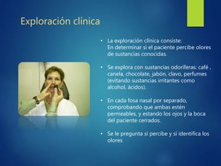 • La exploración clínica consiste:
En determinar si el paciente percibe olores
de sustancias conocidas.
• Se explora con sustancias odoríferas: café ,
canela, chocolate, jabón, clavo, perfumes
(evitando sustancias irritantes como
alcohol, ácidos).
• En cada fosa nasal por separado,
comprobando que ambas estén
permeables, y estando los ojos y la boca
del paciente cerrados.
• Se le pregunta sí percibe y sí identifica los
olores
Exploración clínica
 