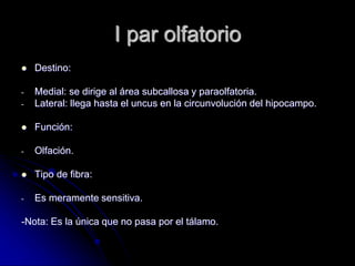 I par olfatorio
 Destino:
- Medial: se dirige al área subcallosa y paraolfatoria.
- Lateral: llega hasta el uncus en la circunvolución del hipocampo.
 Función:
- Olfación.
 Tipo de fibra:
- Es meramente sensitiva.
-Nota: Es la única que no pasa por el tálamo.
 