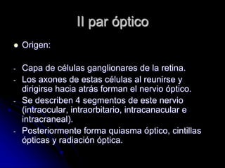 II par óptico
 Origen:
- Capa de células ganglionares de la retina.
- Los axones de estas células al reunirse y
dirigirse hacia atrás forman el nervio óptico.
- Se describen 4 segmentos de este nervio
(intraocular, intraorbitario, intracanacular e
intracraneal).
- Posteriormente forma quiasma óptico, cintillas
ópticas y radiación óptica.
 