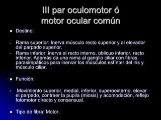 III par oculomotor ó
motor ocular común
 Destino:
- Rama superior: Inerva músculo recto superior y al elevador
del parpado superior.
- Rama inferior: inerva al recto interno, oblicuo inferior, recto
inferior. Además da una rama al ganglio ciliar con fibras
parasimpáticos para inervar los músculos esfínter del iris y
músculo ciliar.
 Función:
- Movimiento superior, medial, inferior, superoexterno, elevar
el parpado, contraer la pupila (miosis) y acomodación, reflejo
fotomotor directo y consensual.
 Tipo de fibra: Motor.
 