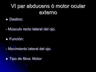 VI par abducens ó motor ocular
externo
 Destino:
- Músculo recto lateral del ojo.
 Función:
- Movimiento lateral del ojo.
 Tipo de fibra: Motor
 