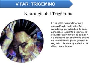 Neuralgia del Trigémino
V PAR: TRIGÉMINO
En mujeres de alrededor de la
quinta década de la vida. Se
caracteriza por episodios de dolor
paroxístico punzante e intenso de
segundos a un minuto de duración
Se distribuye por el territorio de una
de las divisiones (por lo general, la
segunda o la tercera), o de dos de
ellas, y es unilateral
 