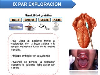 Sensibilidad gustativa
Dulce Amargo Salado Acido
Se ubica al paciente frente al
explorador, con la boca abierta y la
lengua mantenida fuera de la arcada
dentaria.
Hisopo embebido en la sustancia
Cuando se perciba la sensación
gustativa el paciente debe avisar (sin
hablar)
IX PAR EXPLORACIÓN
 