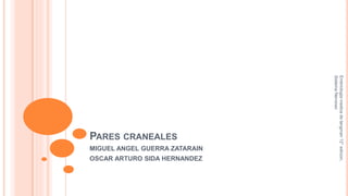 PARES CRANEALES
MIGUEL ANGEL GUERRA ZATARAIN
OSCAR ARTURO SIDA HERNANDEZ
Embriologiamedicadelangman12°edicion.
SistemaNervioso
 
