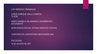 LOS NERVIOS CRANEALES
JORGE ENRIQUE AVILA CAMPOS
TUTOR
HEIDY DANIELA SALAMANCA GIAGREKUDO
ESTUDIANTE
MORFOFISIOLOGÍA DEL SISTEMA NERVIOSO CENTRAL
CORPORACION UNIVERSITARIA IBEROAMERICANA
PSICOLOGIA
15 DE AGOSTO DE 2017
 