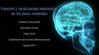 Carolina Triana Ayala
Psicología Virtual
Jorge Ávila
Corporación universitaria Iberoamericana
Agosto 2017
 