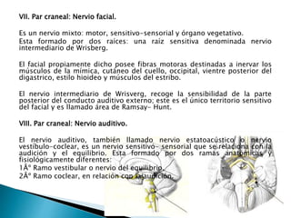 VII. Par craneal: Nervio facial.
Es un nervio mixto: motor, sensitivo-sensorial y órgano vegetativo.
Esta formado por dos raíces: una raíz sensitiva denominada nervio
intermediario de Wrisberg.
El facial propiamente dicho posee fibras motoras destinadas a inervar los
músculos de la mímica, cutáneo del cuello, occipital, vientre posterior del
digastrico, estilo hioideo y músculos del estribo.
El nervio intermediario de Wrisverg, recoge la sensibilidad de la parte
posterior del conducto auditivo externo; este es el único territorio sensitivo
del facial y es llamado área de Ramsay- Hunt.
VIII. Par craneal: Nervio auditivo.
El nervio auditivo, también llamado nervio estatoacústico o nervio
vestíbulo-coclear, es un nervio sensitivo- sensorial que se relaciona con la
audición y el equilibrio. Esta formado por dos ramas anatómicas y
fisiológicamente diferentes:
1Âº Ramo vestibular o nervio del equilibrio.
2Âº Ramo coclear, en relación con la audición.
 