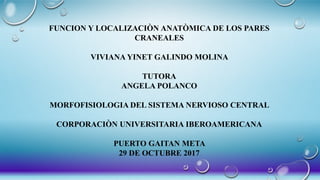 FUNCION Y LOCALIZACIÒN ANATÒMICA DE LOS PARES
CRANEALES
VIVIANA YINET GALINDO MOLINA
TUTORA
ANGELA POLANCO
MORFOFISIOLOGIA DEL SISTEMA NERVIOSO CENTRAL
CORPORACIÒN UNIVERSITARIA IBEROAMERICANA
PUERTO GAITAN META
29 DE OCTUBRE 2017
 