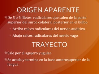 ORIGEN APARENTE
De 5 o 6 filetes radiculares que salen de la parte
superior del surco colateral posterior en el bulbo
Arriba raíces radiculares del nervio auditivo
Abajo raíces radiculares del nervio vago
TRAYECTO
Sale por el agujero yugular
Se acoda y termina en la base anterosuperior de la
lengua
 
