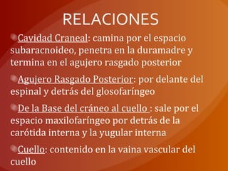 RELACIONES
Cavidad Craneal: camina por el espacio
subaracnoideo, penetra en la duramadre y
termina en el agujero rasgado posterior
Agujero Rasgado Posterior: por delante del
espinal y detrás del glosofaríngeo
De la Base del cráneo al cuello : sale por el
espacio maxilofaríngeo por detrás de la
carótida interna y la yugular interna
Cuello: contenido en la vaina vascular del
cuello
 