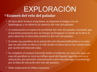 EXPLORACIÓN
Examen del velo del paladar
Se hace abrir la boca al paciente, se deprime la lengua con un
bajalenguas, y se observa la simetría del velo del paladar.
A continuación se explora la motilidad del velo del paladar, haciendo que
el paciente pronuncie por un tiempo prolongado el sonido de la letra A,
para observar la elevación simétrica del velo del paladar.
Si existe una parálisis de la mitad del velo (hemiestafilopléjico) se nota
que un solo lado se eleva y el rafe medio se eleva hacia este mismo lado,
por acción del músculo sano.
Se completa el examen haciendo beber al enfermo un vaso con agua, en
caso de parálisis se verá un reflujo nasal del líquido ingerido con tos y
sofocación, por persistir comunicación entre bucofaringe y nasofaringe
por la falta de elevación del velo del paladar.
Debe explorarse el reflejo nauseoso.
 