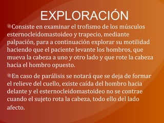 EXPLORACIÓN
Consiste en examinar el trofismo de los músculos
esternocleidomastoideo y trapecio, mediante
palpación, para a continuación explorar su motilidad
haciendo que el paciente levante los hombros, que
mueva la cabeza a uno y otro lado y que rote la cabeza
hacia el hombro opuesto.
En caso de parálisis se notará que se deja de formar
el relieve del cuello, existe caída del hombro hacia
delante y el esternocleidomastoideo no se contrae
cuando el sujeto rota la cabeza, todo ello del lado
afecto.
 