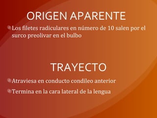ORIGEN APARENTE
Los filetes radiculares en número de 10 salen por el
surco preolivar en el bulbo
TRAYECTO
Atraviesa en conducto condileo anterior
Termina en la cara lateral de la lengua
 