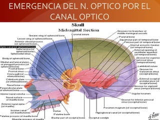 EMERGENCIA DEL N. OPTICO POR EL
CANAL OPTICO
 