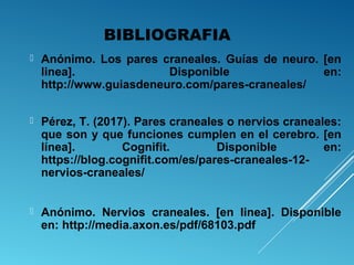 BIBLIOGRAFIA
 Anónimo. Los pares craneales. Guías de neuro. [en
linea]. Disponible en:
http://www.guiasdeneuro.com/pares-craneales/
 Pérez, T. (2017). Pares craneales o nervios craneales:
que son y que funciones cumplen en el cerebro. [en
línea]. Cognifit. Disponible en:
https://blog.cognifit.com/es/pares-craneales-12-
nervios-craneales/
 Anónimo. Nervios craneales. [en linea]. Disponible
en: http://media.axon.es/pdf/68103.pdf
 