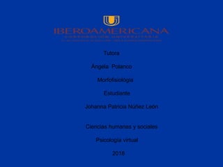 Tutora
Ángela Polanco
Morfofisiológia
Estudiante
Johanna Patricia Núñez León
Ciencias humanas y sociales
Psicología virtual
2018
 