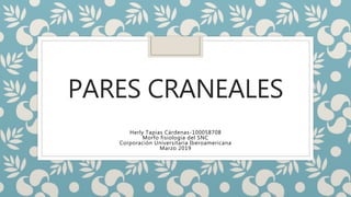 PARES CRANEALES
Herly Tapias Cárdenas-100058708
Morfo fisiología del SNC
Corporación Universitaria Iberoamericana
Marzo 2019
 