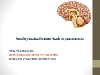 Funciónylocalizaciónanatómicadelosparescraneales
Yenny Alejandra Moya
Morfofisiología del sistema nervioso central
Corporacion Universitaria Iberoamericana
 