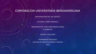 CORPORACION UNIVERSITARIA IBEROAMERICANA
MORFOFISIOLOGÍA DEL SNC UNIDAD II
ACTIVIDAD 7- PARES CRANEALES
PRESENTADO POR : JHON FRANK RANGEL SANTOS
ID: 100061915
DOCENTE :LEIDY LOPEZ
PROGRAMA DE PSICOLOGIA
FACULTAD DE CIENCIAS HUMANAS Y SOCIALES
2019
 